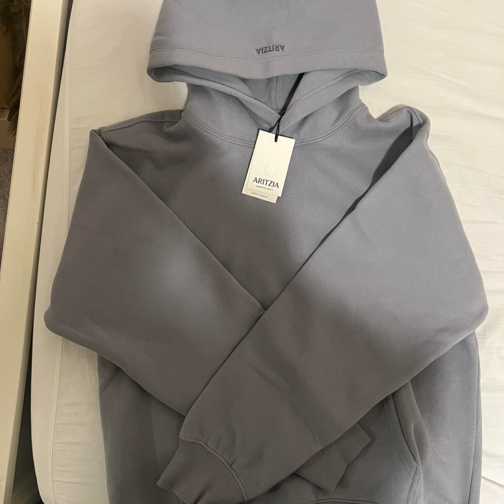 Aritzia Slate Gray Sweatshirt